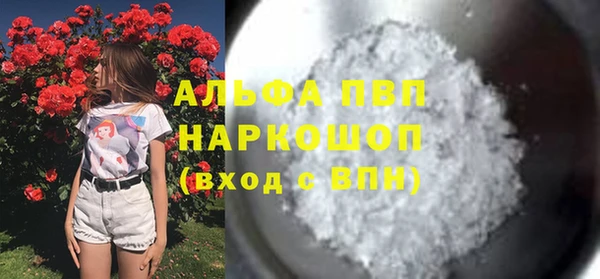 стаф Богородск