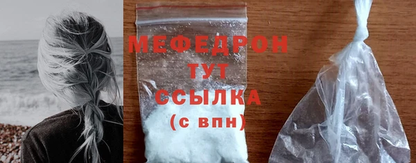 стаф Богородск